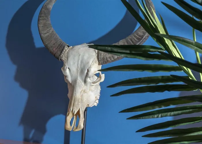 Ziggy Blues Arrecife (Lanzarote)